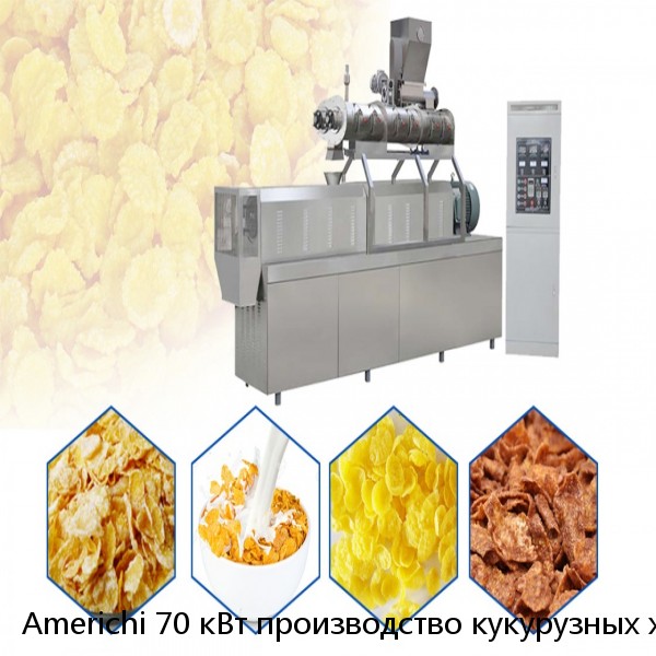 Americhi 70 кВт производство кукурузных хлопьев, машина для производства кукурузных хлопьев, производственная линия кукурузных хлопьев